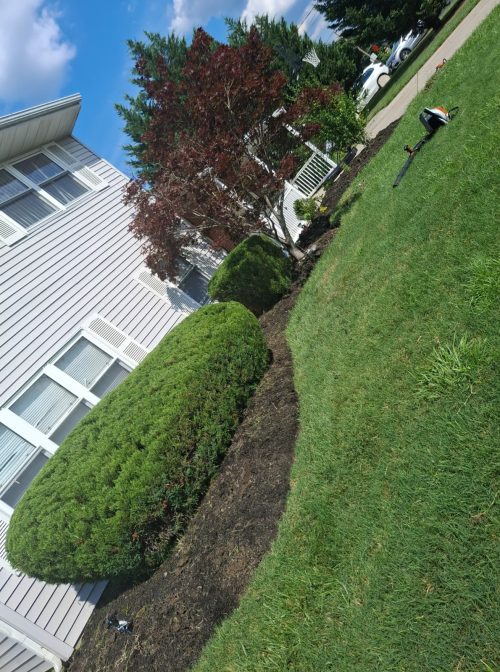 IMG-20250820-WA0137