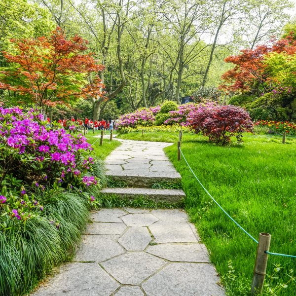 beautiful-green-park beautiful-green-park